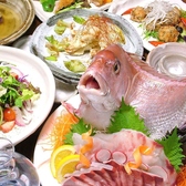 居酒屋 ダイニング 胡白 こはくの写真