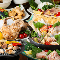 九州鶏居酒屋 よか鶏 筑紫野二日市店のおすすめ料理1