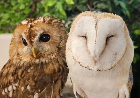 ゆっくりと動物達と過ごす事もできます◎