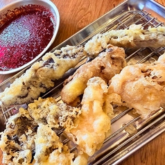 旬を味わう季節の魚料理◎国産牛のホルモン天麩羅は絶品