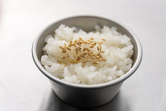ご飯大盛り