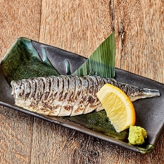 炙りしめ鯖