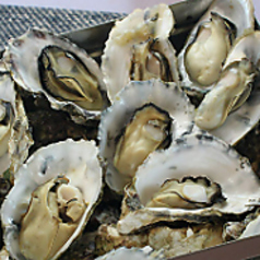 私は貝になりたい　札幌つなぐ横丁の写真2