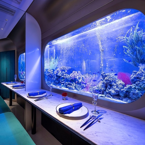 アクアリウムレストラン Nautilus ノーチラス 上野駅前 上野 ダイニングバー バル ネット予約可 ホットペッパーグルメ アクアリウムレストラン Nautilus ノーチラス 上野駅前 上野 ダイニングバー バル ネット予約可 ホットペッパーグルメ