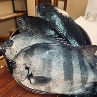 オーナー自ら釣り上げた新鮮魚介！