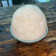 ごはん　(小・中・大)