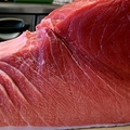 料理メニュー写真&nbsp;名物！生本マグロ中トロ