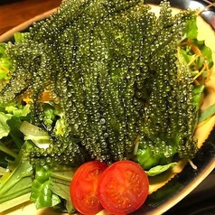 海ブドウのサラダ（4～10月）