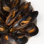 「お肉だけじゃない」。その日その日に全道から仕入れる鮮魚介を使った一品料理も大好評。