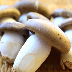 京丹波　本しめじ