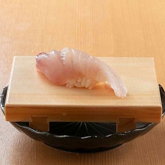 真鯵