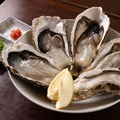 料理メニュー写真&nbsp;宮城県石巻産　業者直接買い付け 鶏から名物！ 大粒生牡蠣