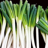 茨城県産のネギを使用しております。
