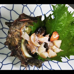 活サザエ刺しorつぼ焼き