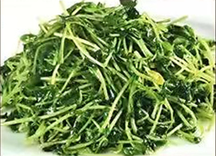 豆苗炒め