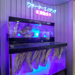 素材本来の香りや旨味を引き出す”ウォーターエイジング”の熟成肉が楽しめます。