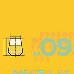 FARMENTARY(奈良県・橿原市・五井町)『No.9 NAGATSUKI IPA』New England IPA