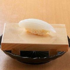 紋甲いか