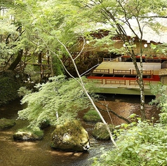 貴船 水源の森 天山の雰囲気1