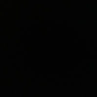 初心者にも安心な丁寧なサポート