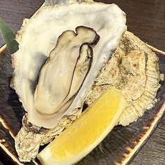 【海鮮も豊富】鶯は焼き鳥だけじゃない！