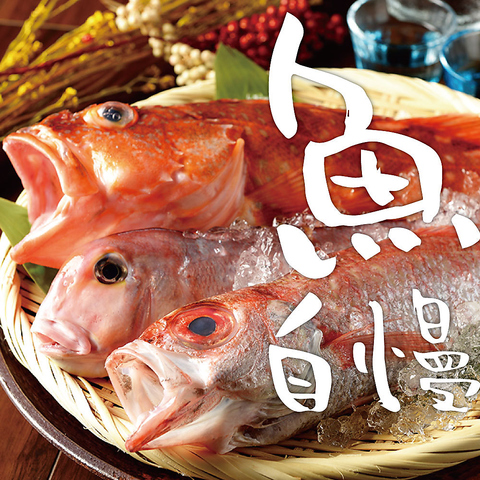 旬の海鮮と上質な肉を、個室居酒屋で。 堀蔵 （ほりぞう）岐阜駅前店