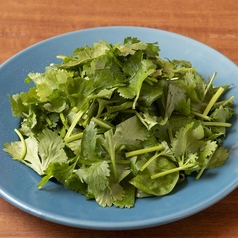 パクチーサラダ ～ライムドレッシング～