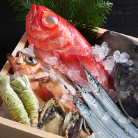 ◆宇和島港・沼津港　直送鮮魚！