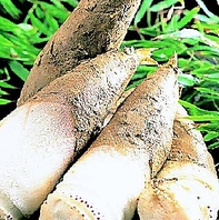 【歓送迎会】　京たけのこ祭り4/1～4/末まで！