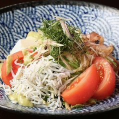 土佐の恵み龍馬サラダ ~釜揚げしらすと茗荷 土佐ぬたドレッシング~