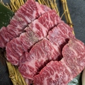 料理メニュー写真&nbsp;極上和牛ハラミ