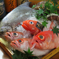 【大将目利きの極上鮮魚】選び抜いた旬の食材