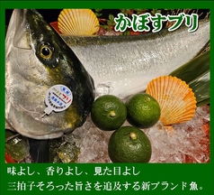 大分県新ブランド魚『かぼすブリ』味よし、香りよし、見た目よし。生産者の挑戦が生んだ冬限定ブランド魚