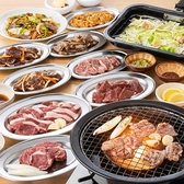 羊肉酒場 悟大 武蔵小杉店のおすすめ料理2