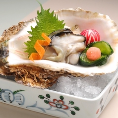 【当店自慢☆贅沢で新鮮なお造り各種】真鯛や天然伊勢エビ、活アワビなど多彩な海の恵みをご堪能ください！の写真