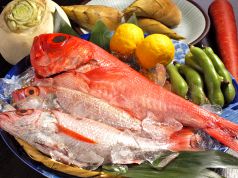 その日一番の新鮮鮮魚
