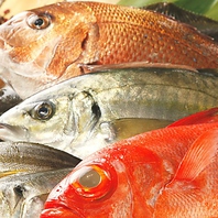 朝獲れ産地直送！旬の海鮮・刺身・牡蠣をご用意☆