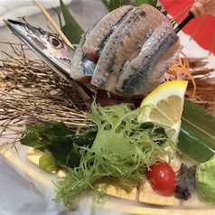 サンマ (刺 or 焼)