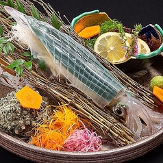 九州の酒と肴 博多 又特集写真1