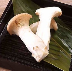 エリンギ茸