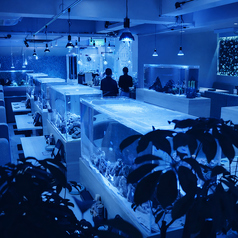 アクアリウムダイニング　サカナノセカイ　小倉店の雰囲気2