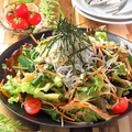 料理メニュー写真&nbsp;大人気！！〇△□サラダ(釜揚げしらすの和風サラダ)【レギュラーサイズ】