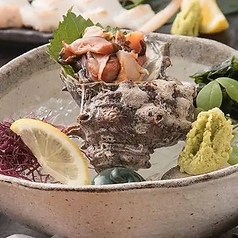 活サザエ造り/活サザエ壺焼き 各1個