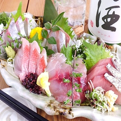 産直鮮魚の刺身5種盛り　/　Height of five kinds of sasshimi