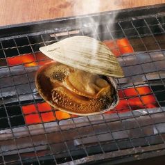 【卓上焼き】 活ホンビノス