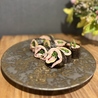 8分め料理店のおすすめポイント1
