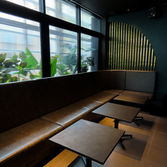 Shisha Cafe&Bar PukuPuku プクプク 赤坂店の雰囲気3