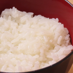 白ごはん