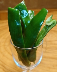 冷やしピーマン