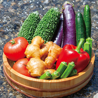 【産地直結の旬野菜】夏メニューでお楽しみいただけます
